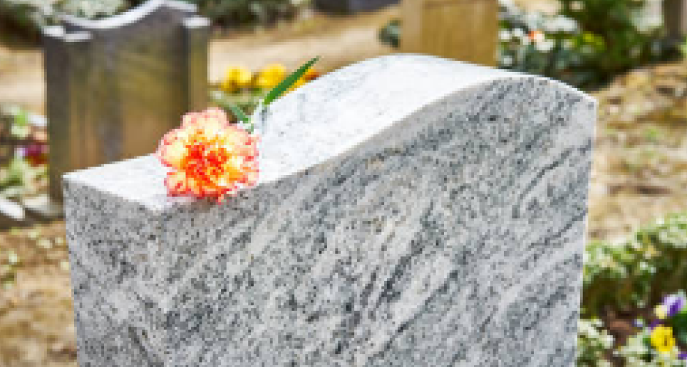 Làpides i complements