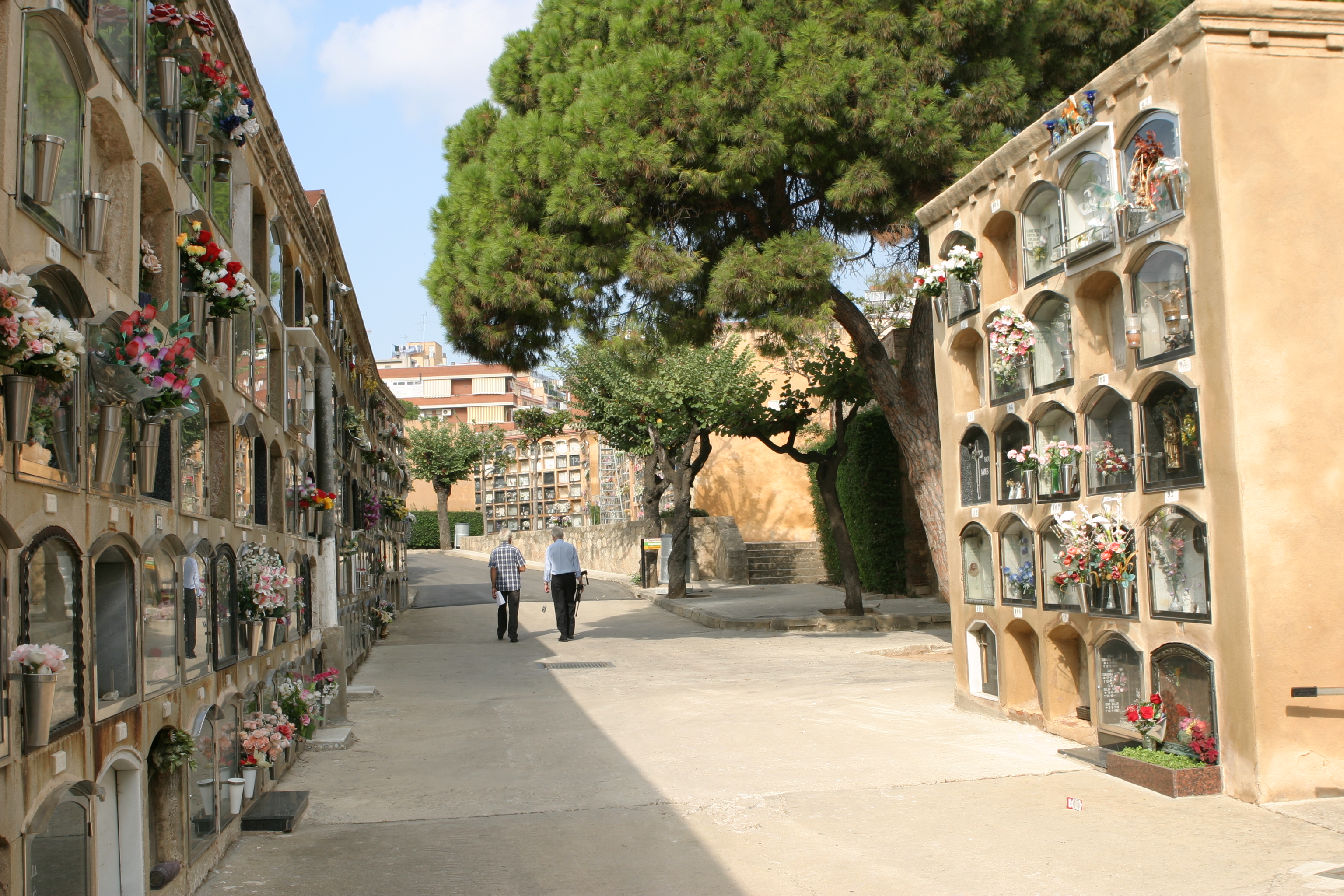 cementerio de sant andreu