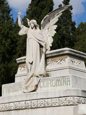 15-Montoliu_Coromina