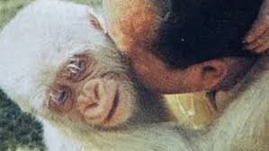 Conferència en memòria del decobridor del Floquet de Neu: Sabater Pi