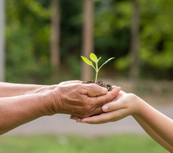 17 de març, Sant Josep d’Arimatea, patró dels funeraris
