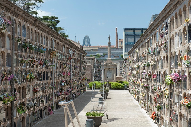 diari de barcelona