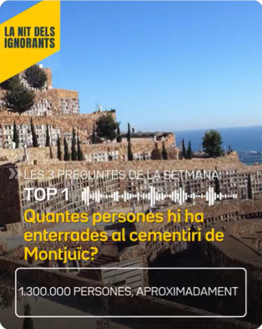 nit ignorants