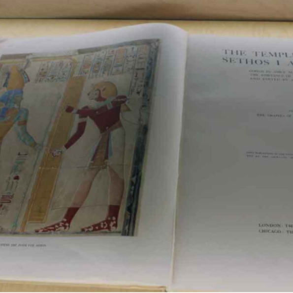 metropoli biblioteca