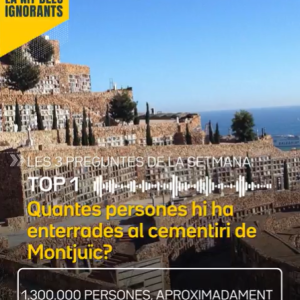 nit ignorants